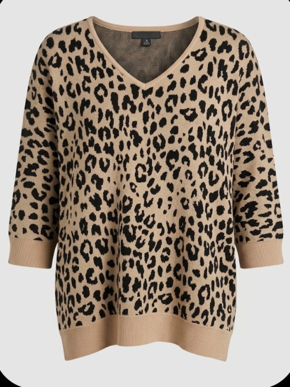 Leopard Print V-Neck Sweater - Beige/Black